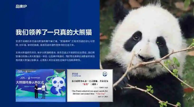 茶百道品牌手册-广告人干货库