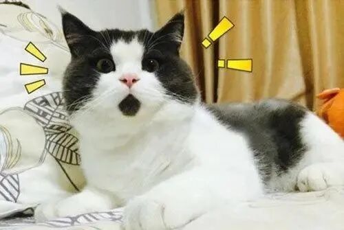 304不锈钢哑铃生产厂家日本人真会玩？推出“不锈钢哑铃款飞机杯”，一不小心就能锻炼出麒麟臂?插图1