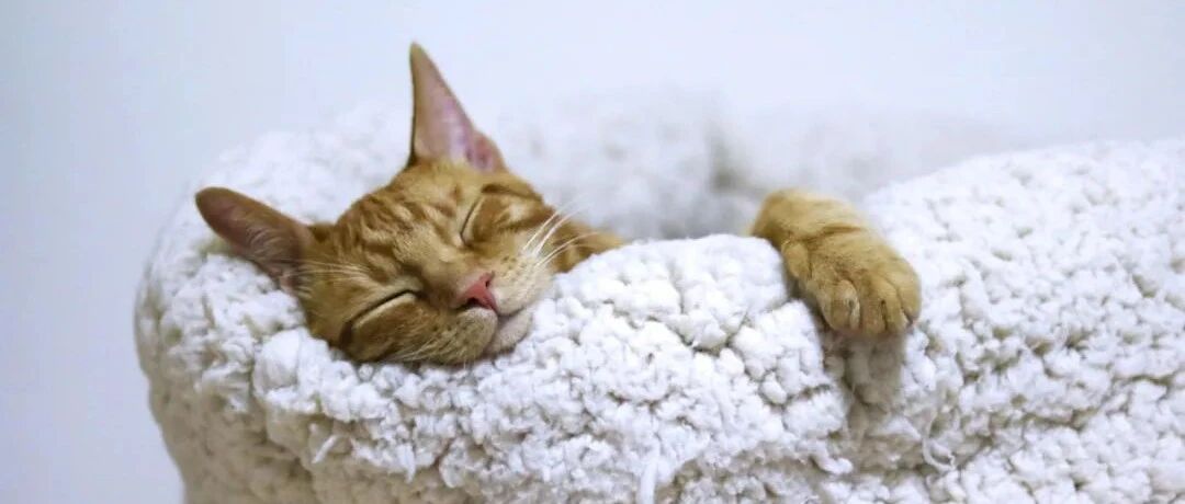 开工愉快：如何保持每天精力充沛？