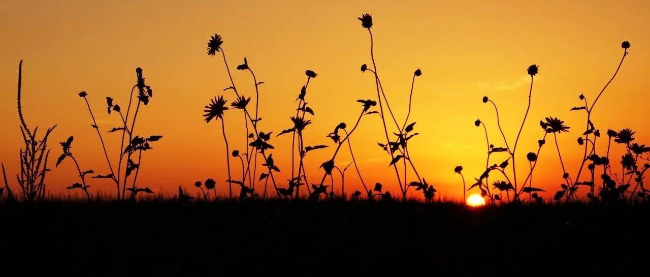 林清玄：三十岁后始觉悟