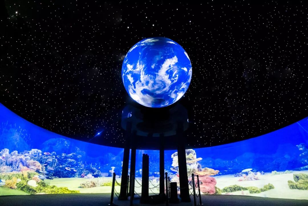即將有一場海洋沉浸式體驗互動展在上海舉辦