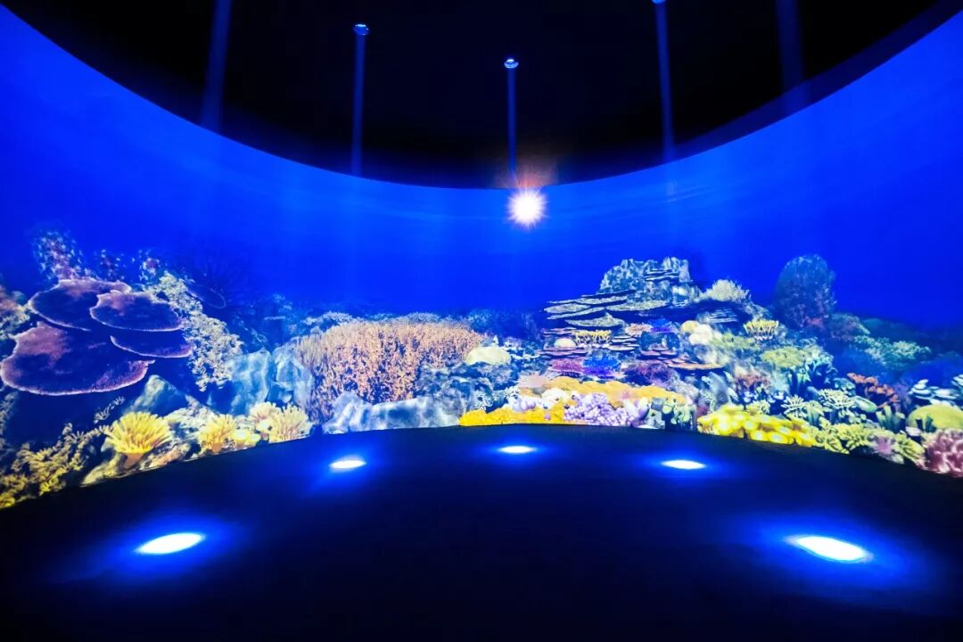即將有一場海洋沉浸式體驗互動展在上海舉辦