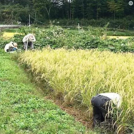 胖编怪聊：这可能是人类历史最早的