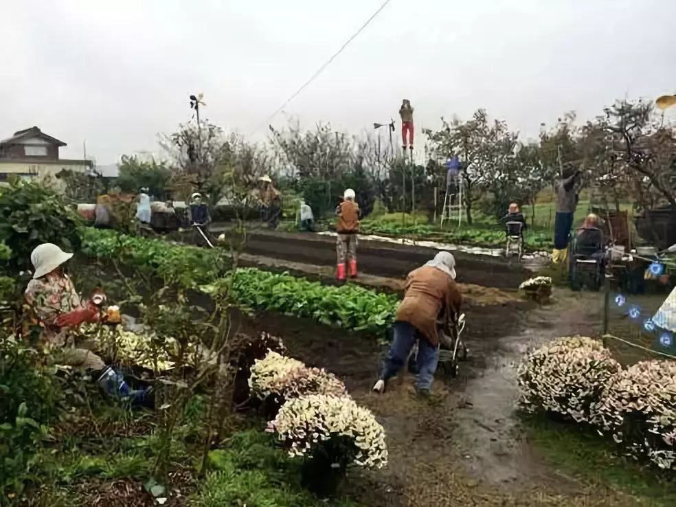 胖编怪聊：这可能是人类历史最早的