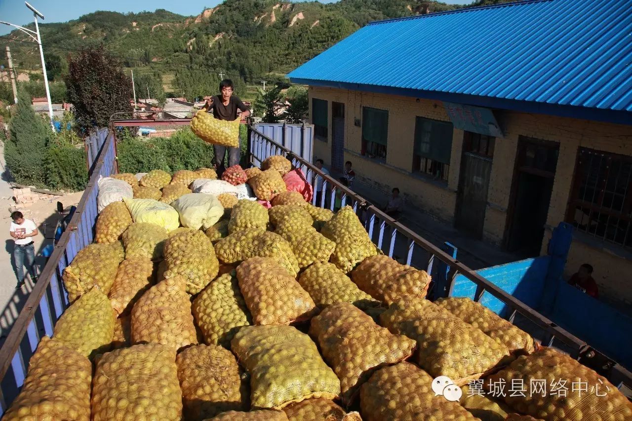 翼城浇底:苹果核桃走俏中秋市场点燃山区百姓脱贫致富梦想