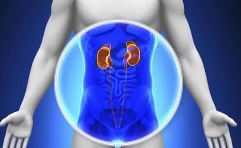 腰膝酸软、尿频尿急、好忘事儿，别纠结，你可能是真的虚了！！！