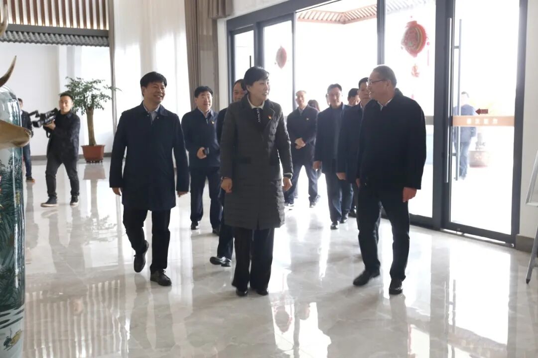 正阳县党政考察团莅临龟鹿药业，对龟甲胶鹿角胶等产业，他们这么说！