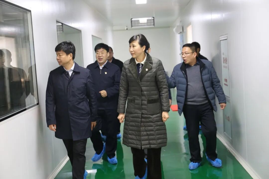 正阳县党政考察团莅临龟鹿药业，对龟甲胶鹿角胶等产业，他们这么说！