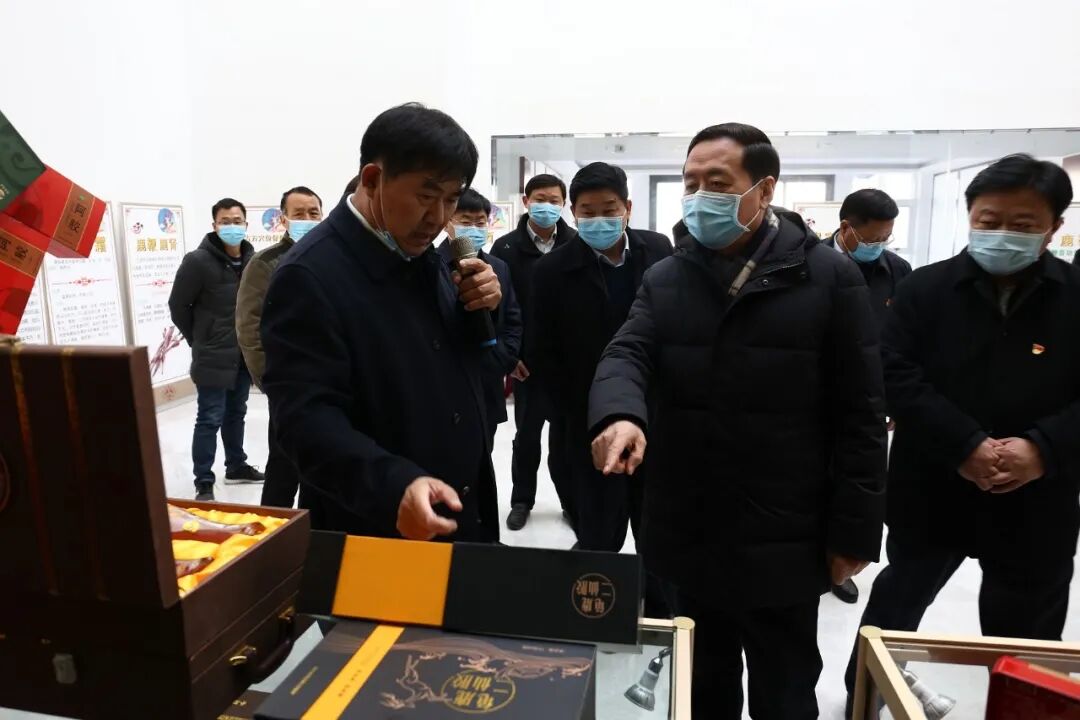 省委常委、统战部长孙守刚莅临龟鹿药业调研