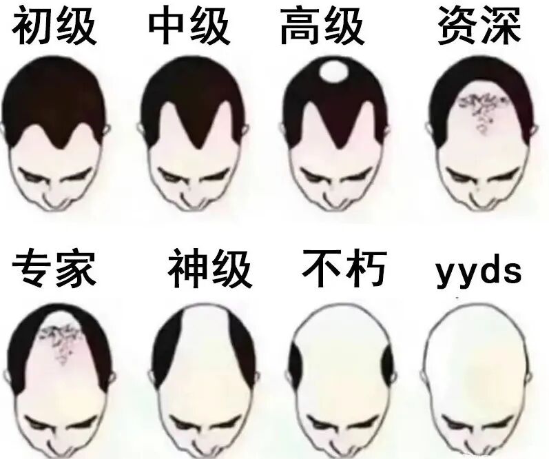 年纪不大，头咋说秃就秃了