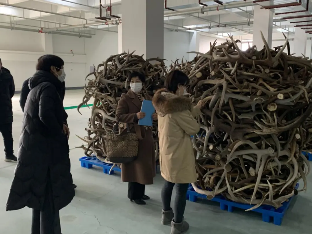 河南省卫健委专家组莅临龟鹿药业考察 河南省卫健委专家组莅临龟鹿药业考察