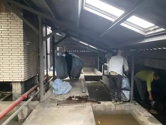 平改坡属于违建吗_平改坡阁楼是违建吗_平改坡