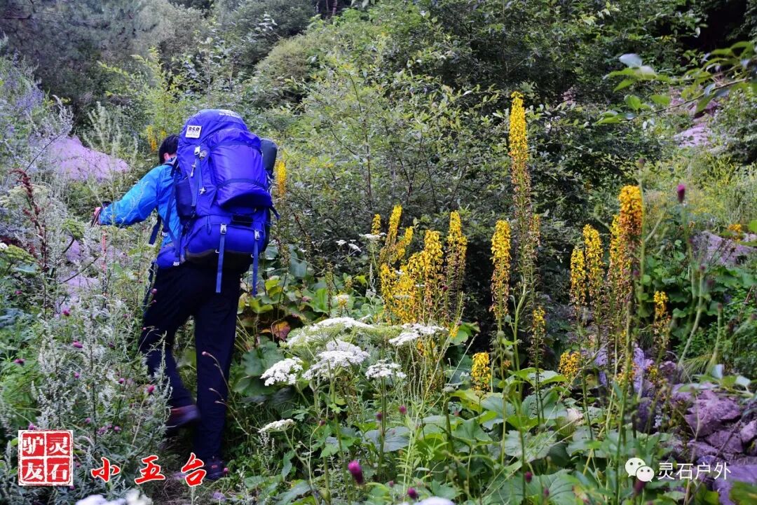 灵石驴友首次重装穿越小五台