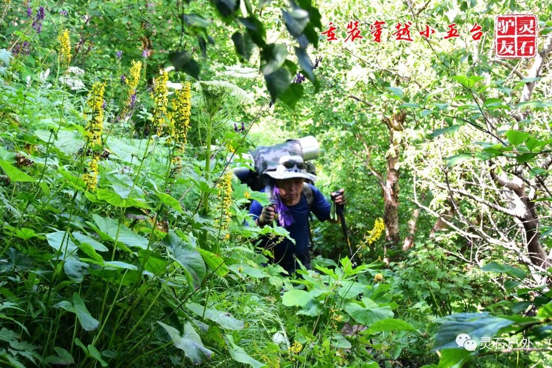 灵石驴友首次重装穿越小五台