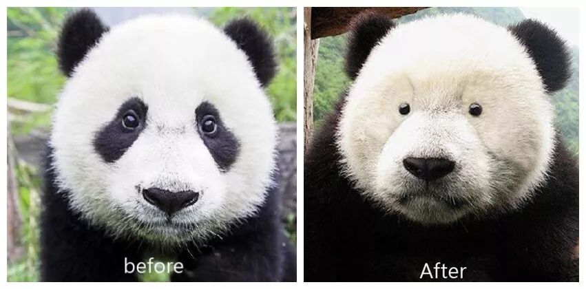 入住半年，我来总结第一套房的装修经验！