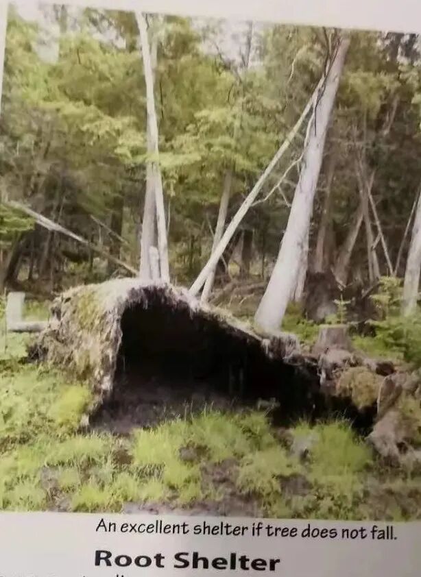 怎样预防和处理失温？一个户外越野跑者的经验-Centre for New Immigrant Well-Being (CNIW)