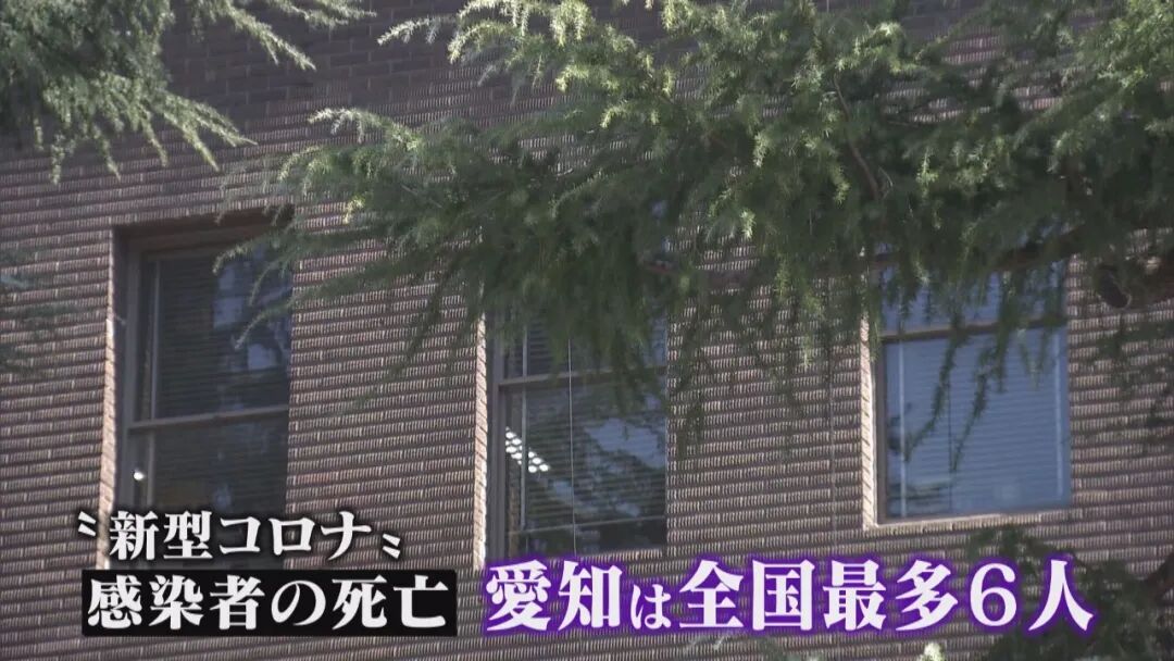 日本“难上加难”了！签证失效后，这次连往中国的快递也停了......（组图） - 11