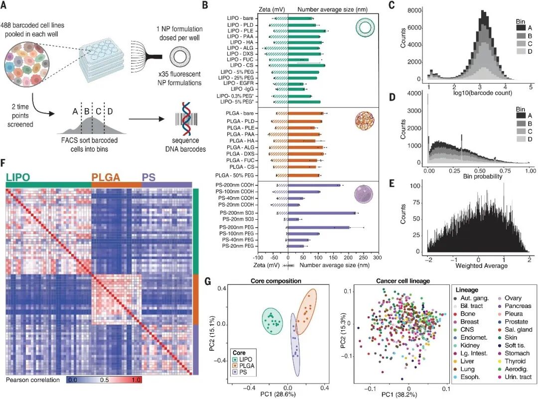 Science新突破：高通量筛选揭示纳米药物递送新规律
