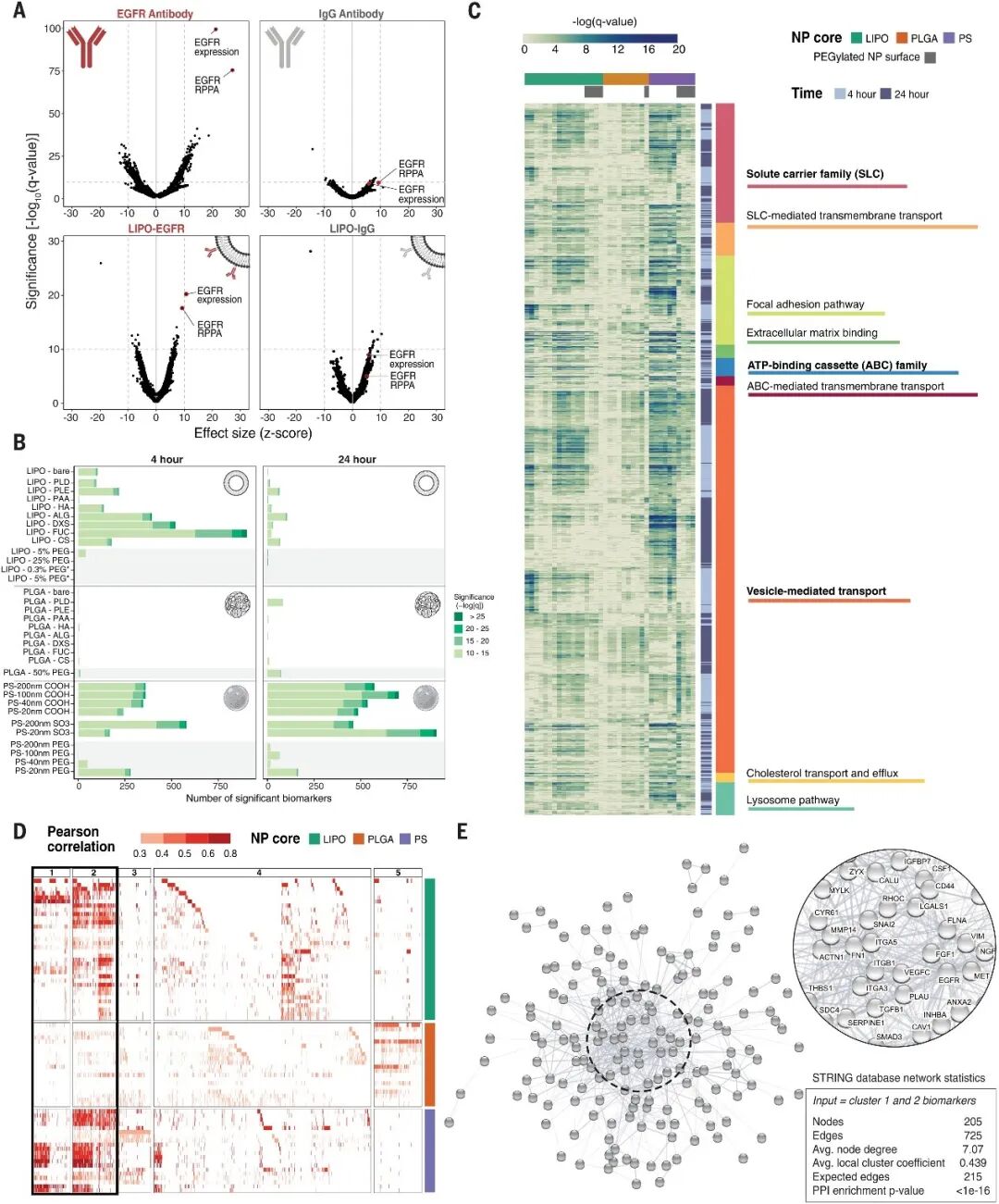 Science新突破：高通量筛选揭示纳米药物递送新规律