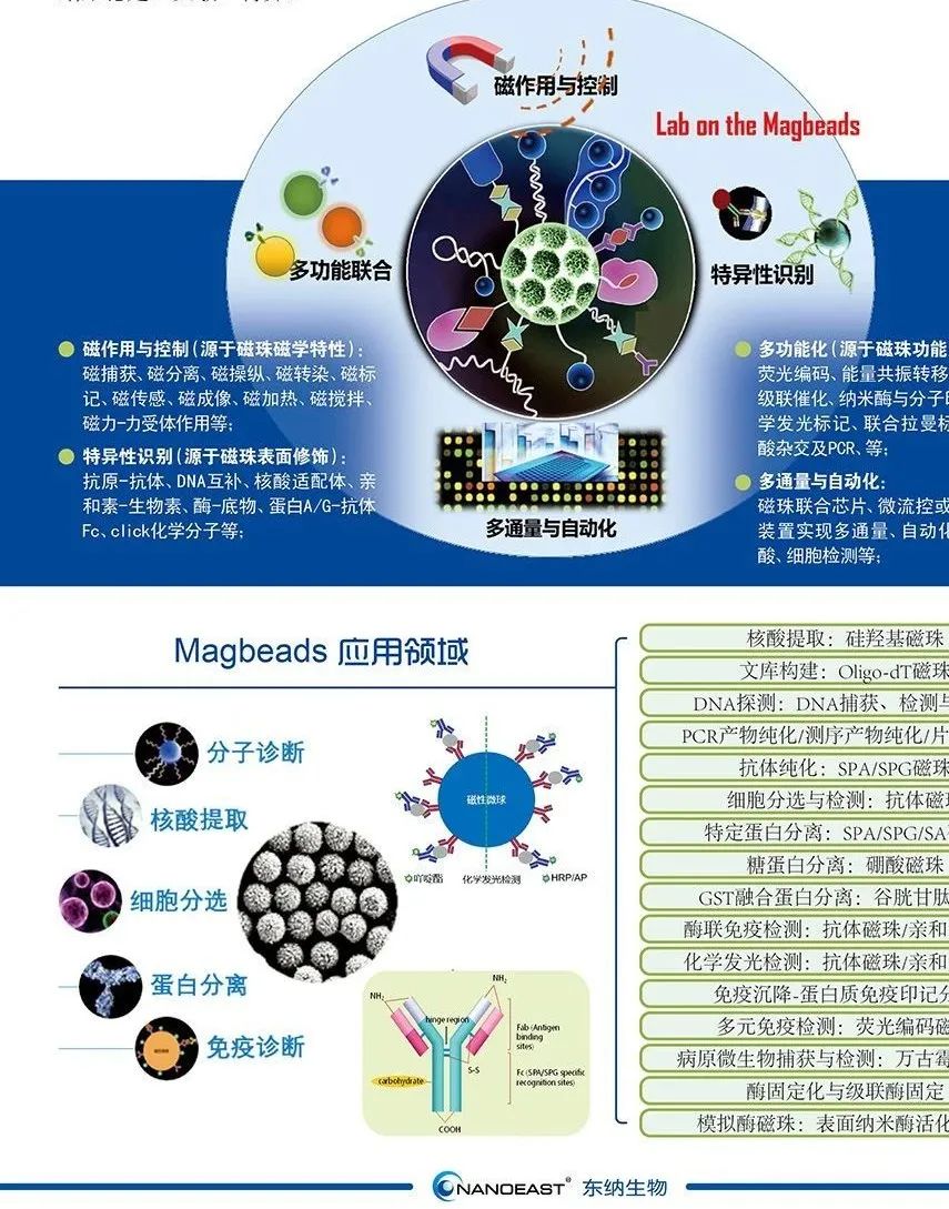 东纳生物重庆CACLP完美收官，打响微纳米磁珠品牌之战！