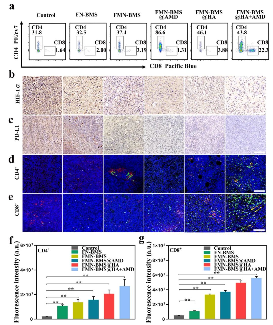 Nanotoday：多功能纳米平台实现影像指导化学动力治疗-CXCR4拮抗-PD-L1阻断协同治疗乳腺癌