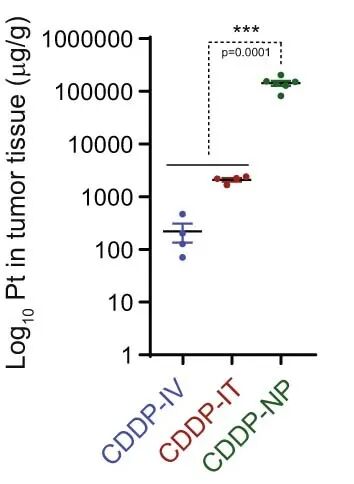 Nature Communications：  纳米工程化顺铂递送系统治疗口腔癌的临床研究