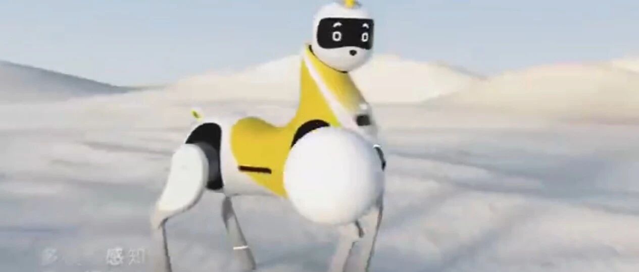 ？？？这踏马是什么