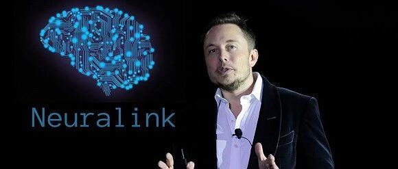 支付宝，你连动物都不放过