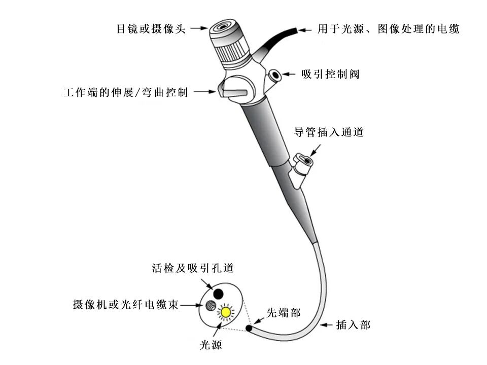 做完支气管镜怎么保养支气管镜如何维护与保养？_https://www.jmylbn.com_新闻资讯_第7张