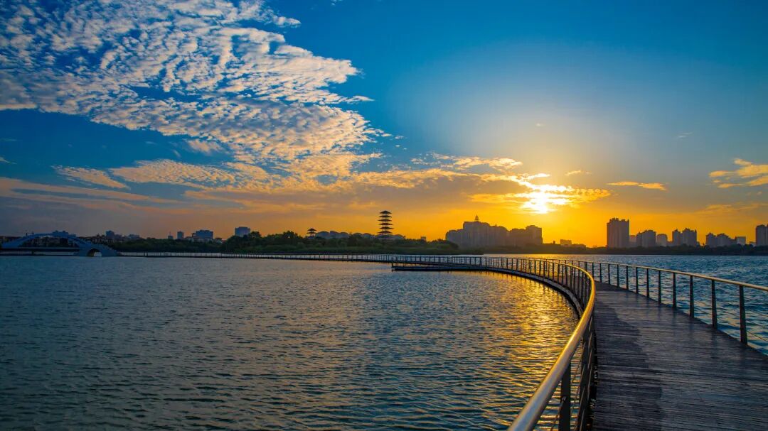 江苏张家港世界极危物种又现暨阳湖