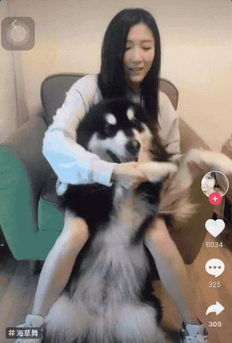 抖音上的倒退视频制作_抖音视频声音倒放_抖音倒放视频怎么让声音倒放