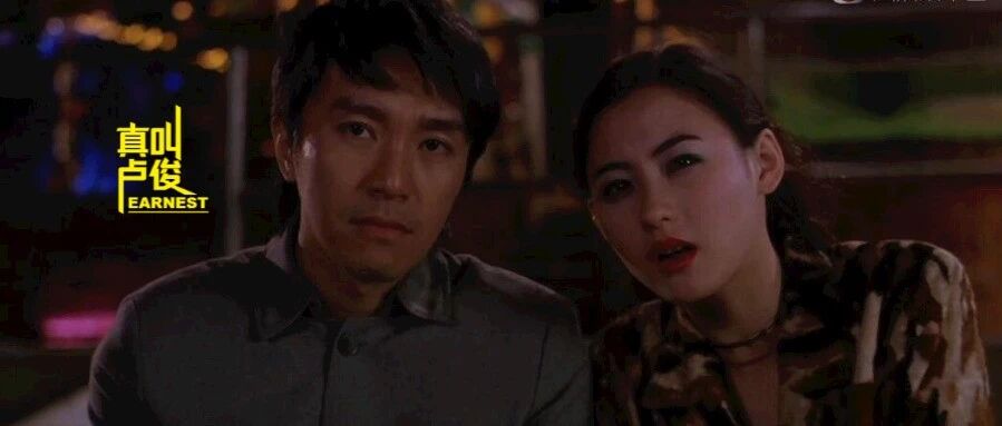 什么样的户型更适合养猫