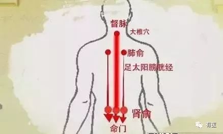 感冒 咳嗽 高烧 这样刮一刮 就完事 有医 微信公众号文章阅读 Wemp