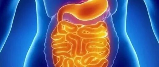 25岁姑娘被确诊肠癌！大便粘马桶是癌症信号？便后这件事一定要做…