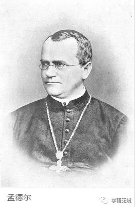 孟德尔三大遗传定律_孟德尔 遗传定律_孟德尔遗传定律和自由组合定律