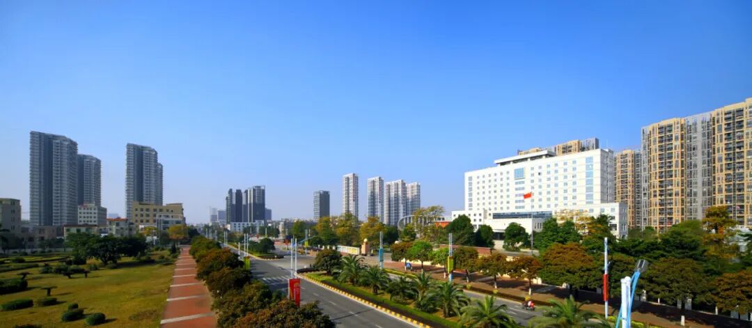 东凤镇全力以赴应变局开新局力争实现一季度开门红