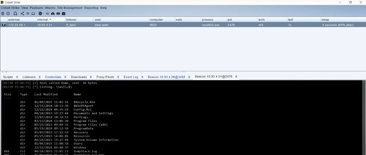 Example Image