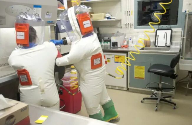 ������������ס�ˣ��731���ӡ�ϴ�����������з�����������������Ϊ��