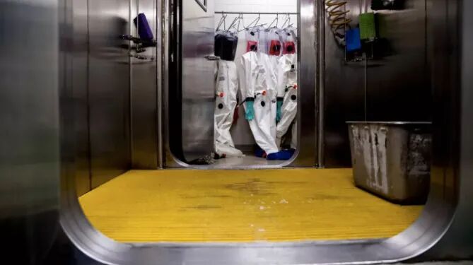 ������������ס�ˣ��731���ӡ�ϴ�����������з�����������������Ϊ��