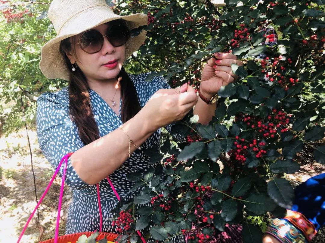 ��ҵ���ܣ��������6�ڵı���Ů���� ��ֻ�����������