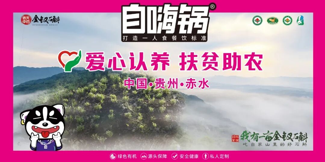 ��ҵ���ܣ��������6�ڵı���Ů���� ��ֻ�����������