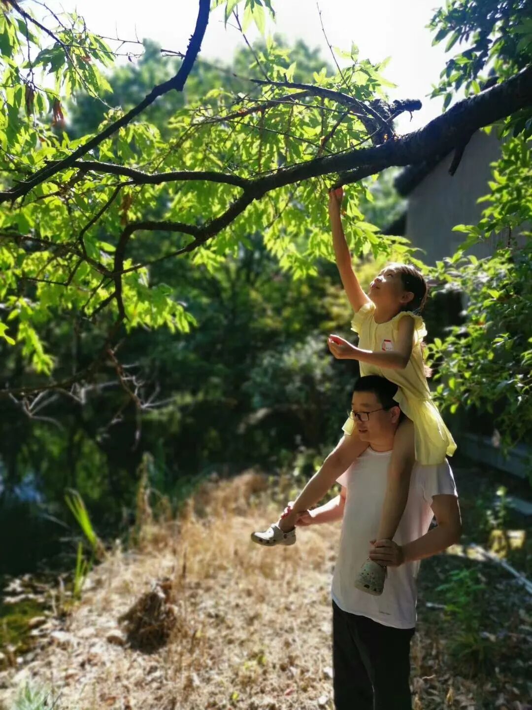 ��ҵ���ܣ��������6�ڵı���Ů���� ��ֻ�����������