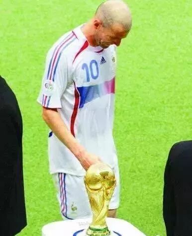 最后,齐达内与大力神杯失之交臂.