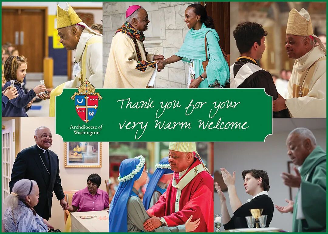 ����λ���˺������̳��֣�����10����ʿѧλ�����������ա����ġ����������˵�