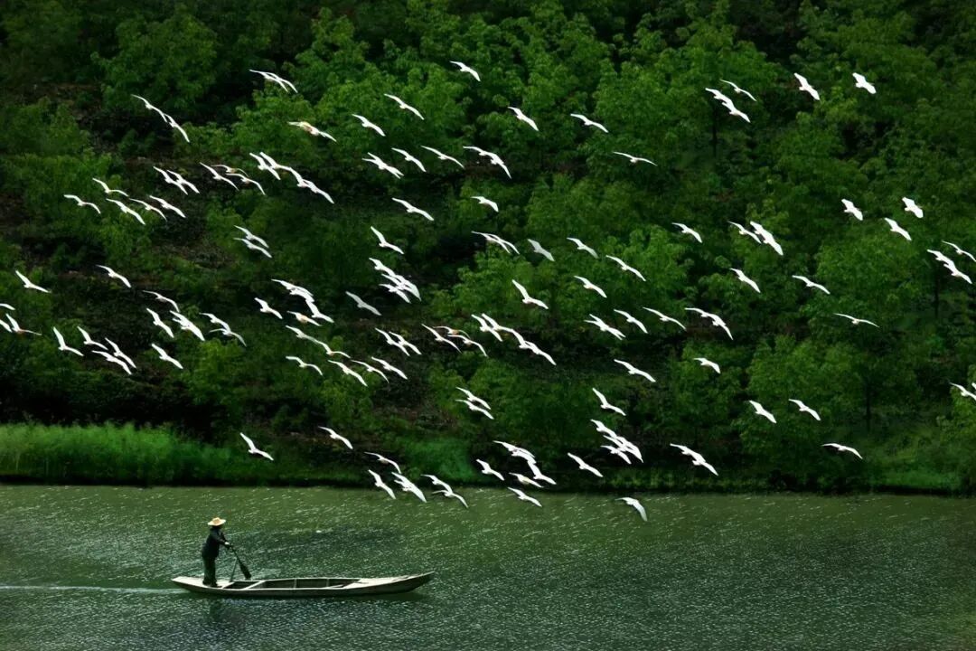 淳安风景。图源：淳安发布