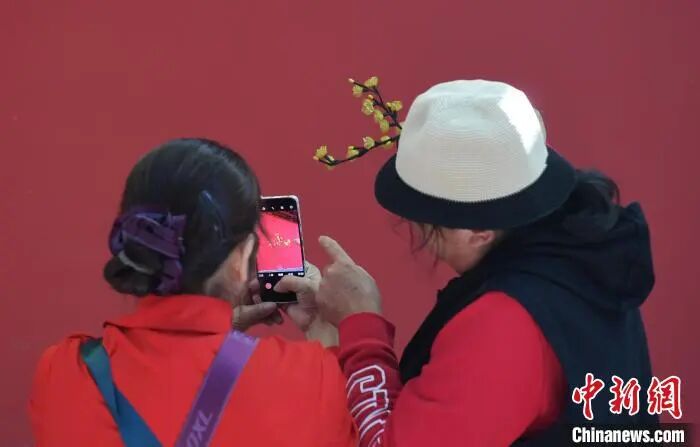 民众在德寿宫红墙前打卡拍照。王刚　摄