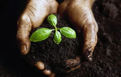 土壤健康有多重要？澳政府投资上亿改善土壤质量！