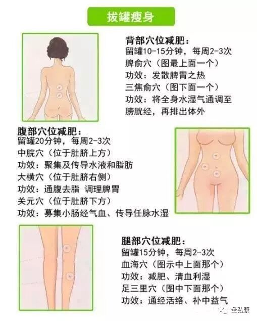 康复仪激光怎么用子寿光波康复理疗仪详细操作指南_https://www.jmylbn.com_新闻资讯_第14张