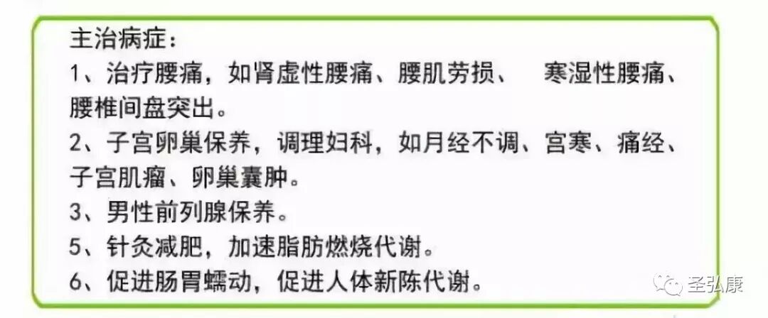 康复仪激光怎么用子寿光波康复理疗仪详细操作指南_https://www.jmylbn.com_新闻资讯_第7张