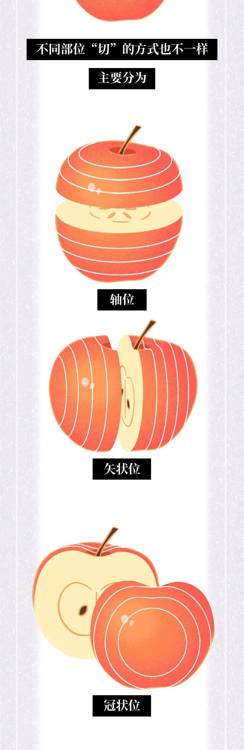 x光机为什么影像科诊断报告为什么那么慢？_https://www.jmylbn.com_新闻资讯_第7张